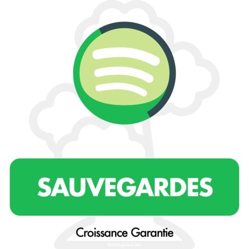 Acheter des Sauvegardes Spotify