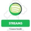 Acheter des Streams Spotify